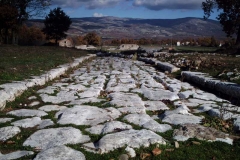 grumentum_1