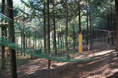 parco_avventura_7