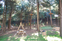 parco_avventura_9