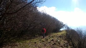 WP_20151207_079