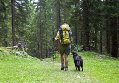 Cane-Trekking-Montagna-Boschi-FlickrCC-austriatourism